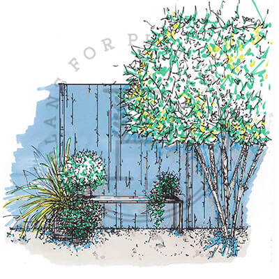 Tree border drawing